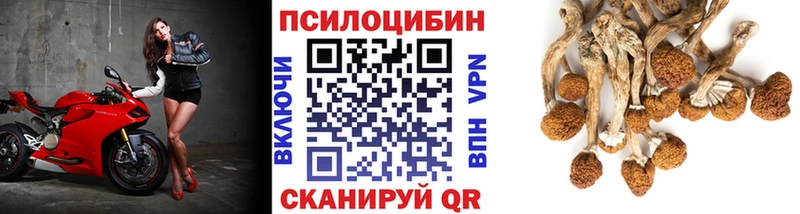 Галлюциногенные грибы MAGIC MUSHROOMS hydra ссылки Нелидово